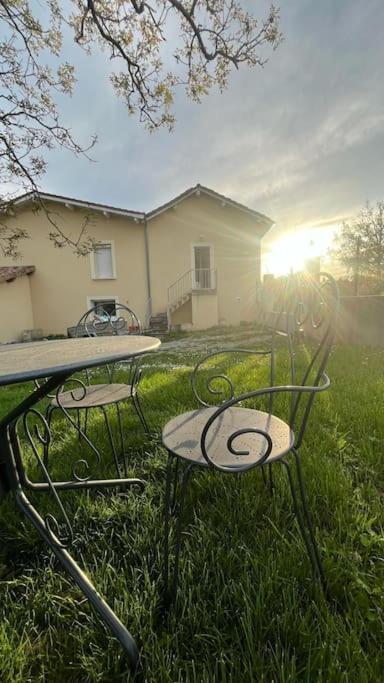 5 Mn Vienne, Confort Et Calme A La Campagne Reventin-Vaugris Exterior foto